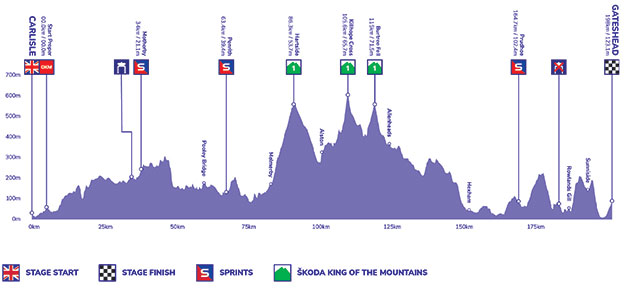 Stage 6 profile